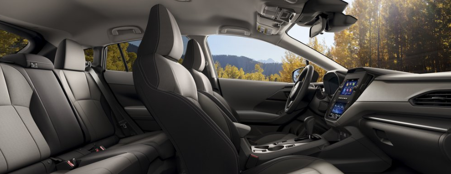 Crosstrek Unlimited Interior Profile Buck - Base