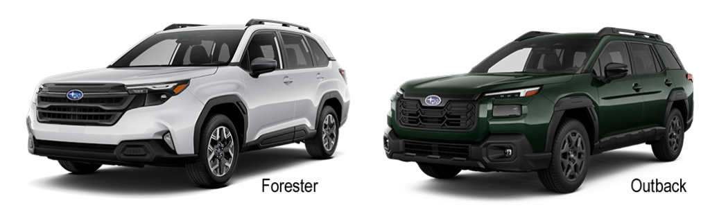 Jellybean of outback and the forester