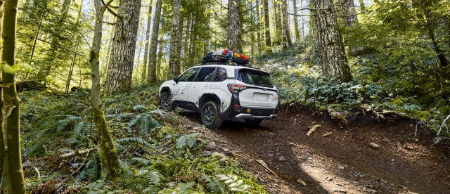 ction major of the Forester Wilderness in Crystal White Pearl on a dirt trail. Accessories include a Thule roof basket.