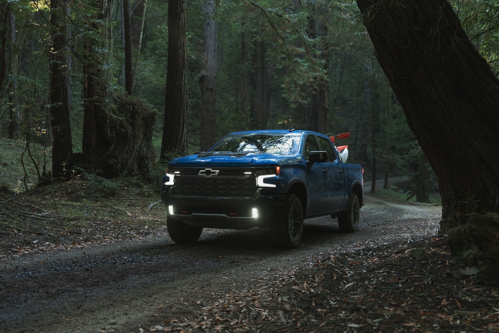 Chevy Silverado 1500 exterior front