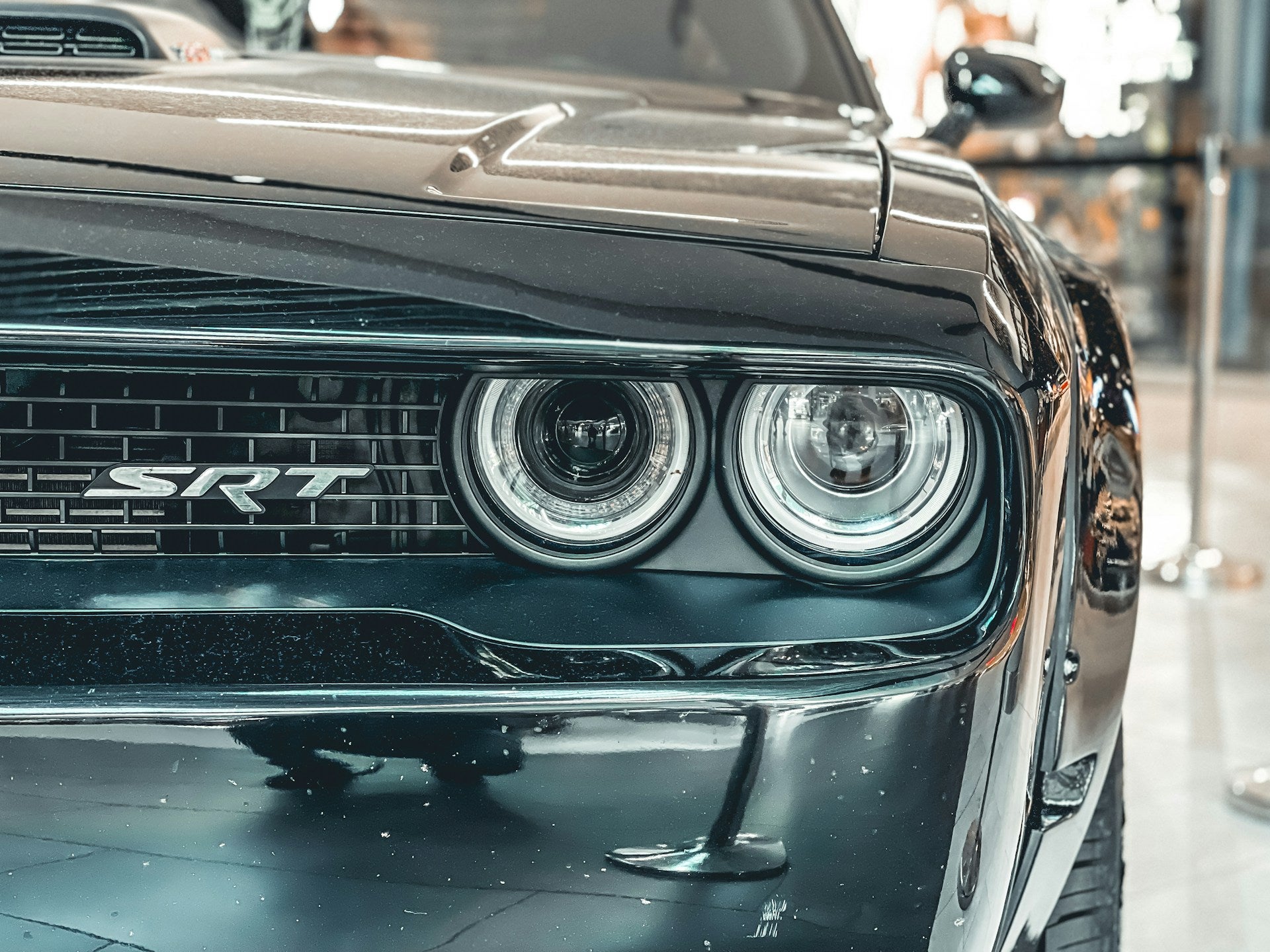 Dodge Muscle Car