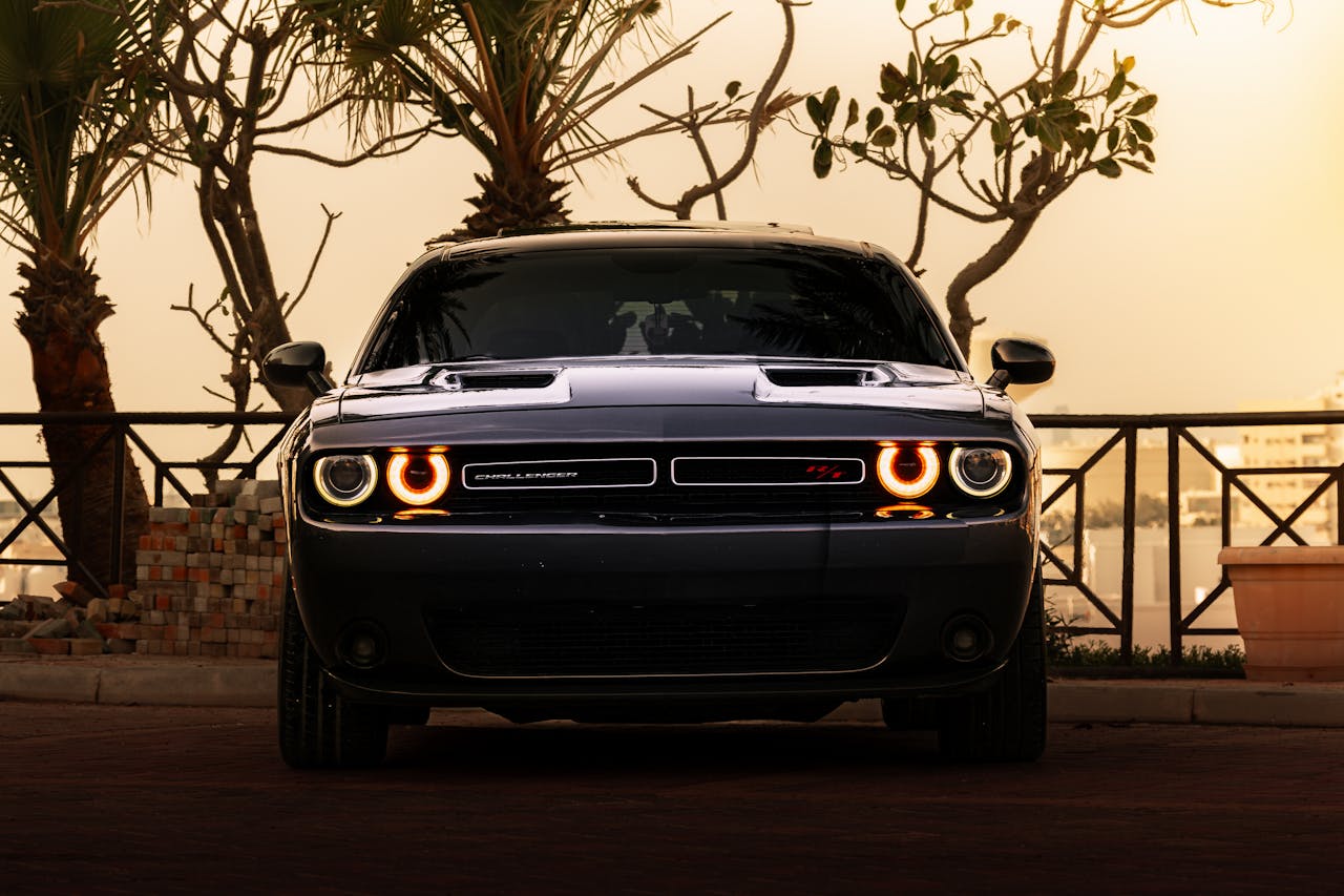 Dodge