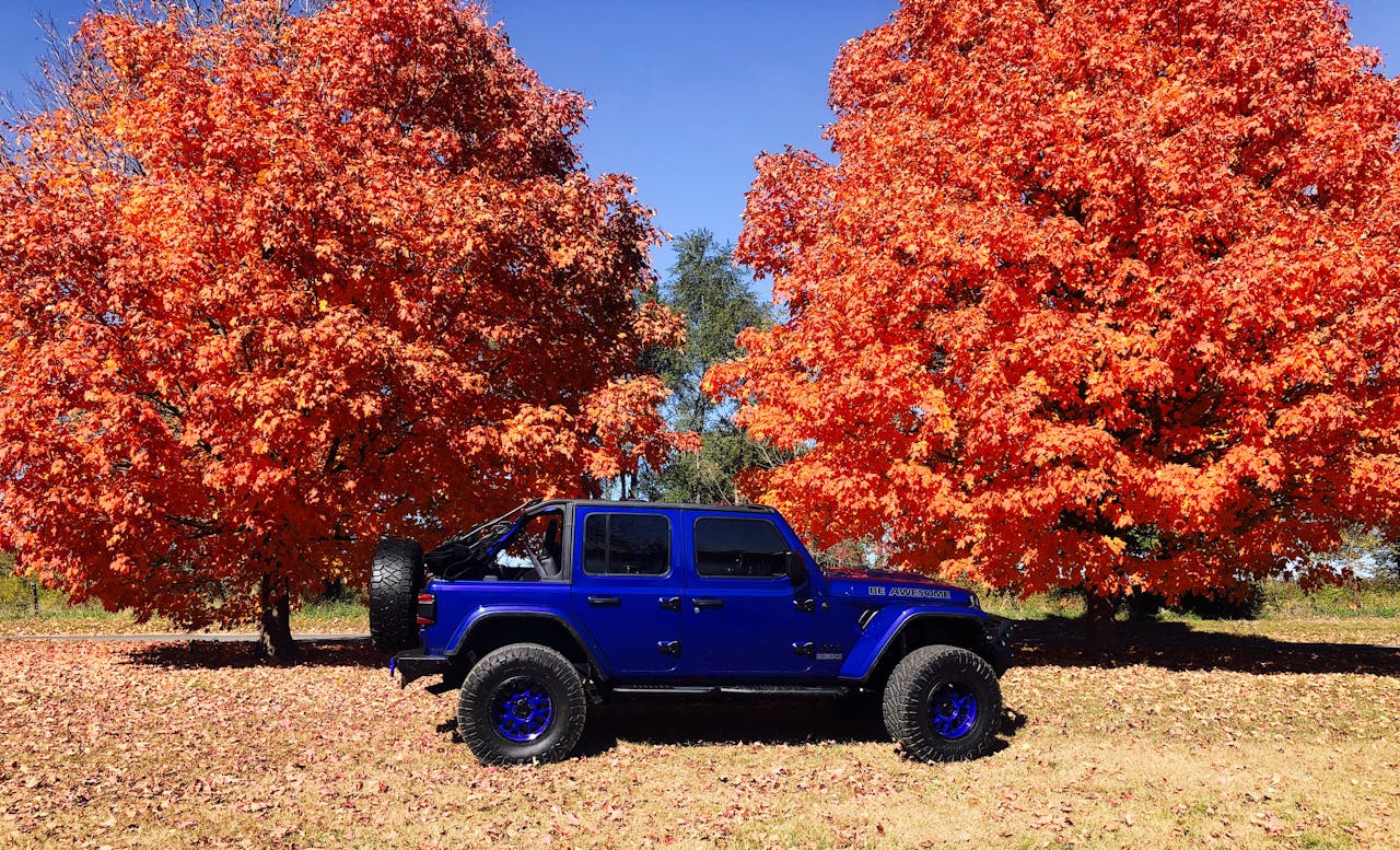 Jeep