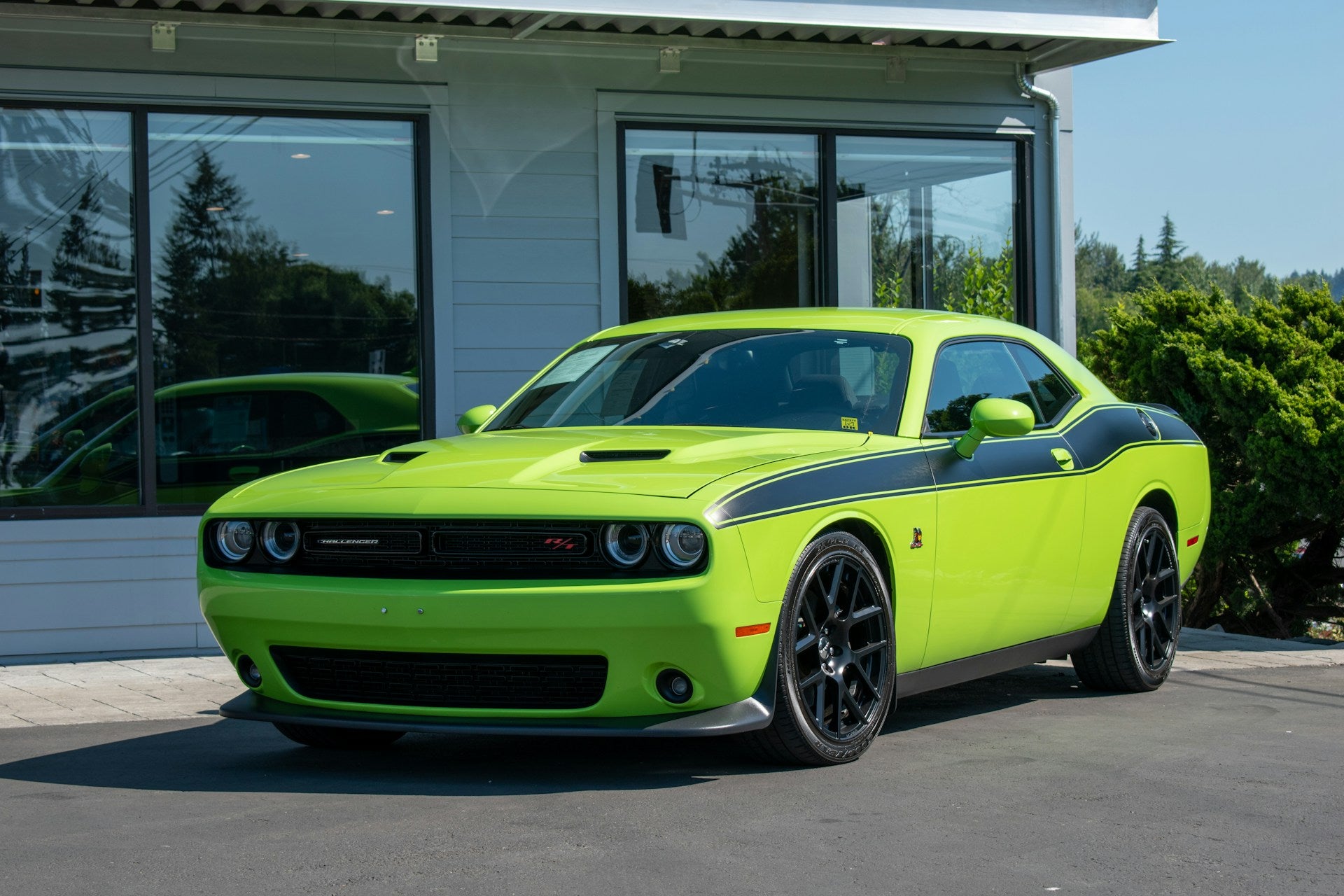 Dodge
