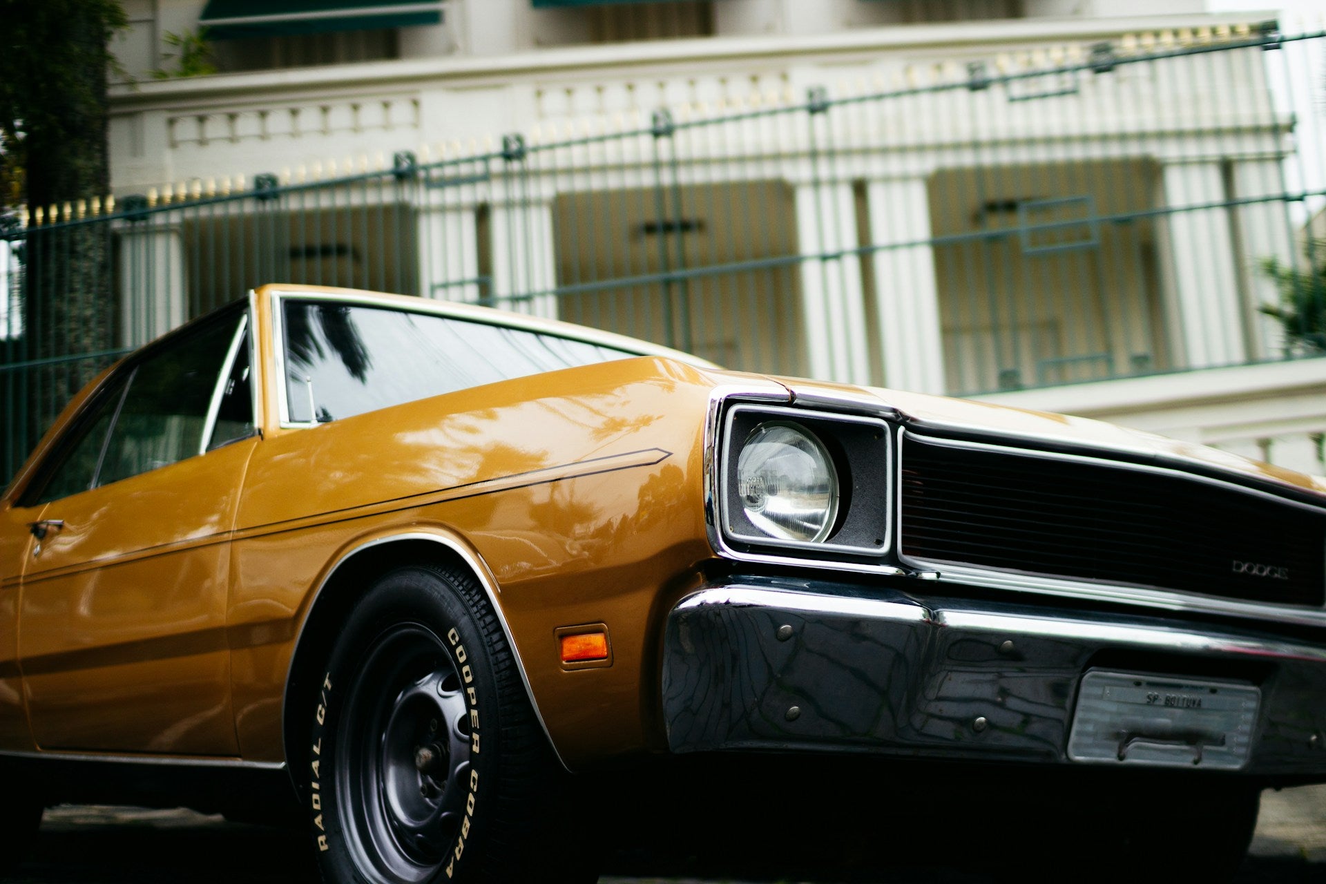 Dodge