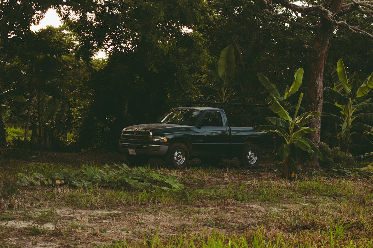 Ram Pickup