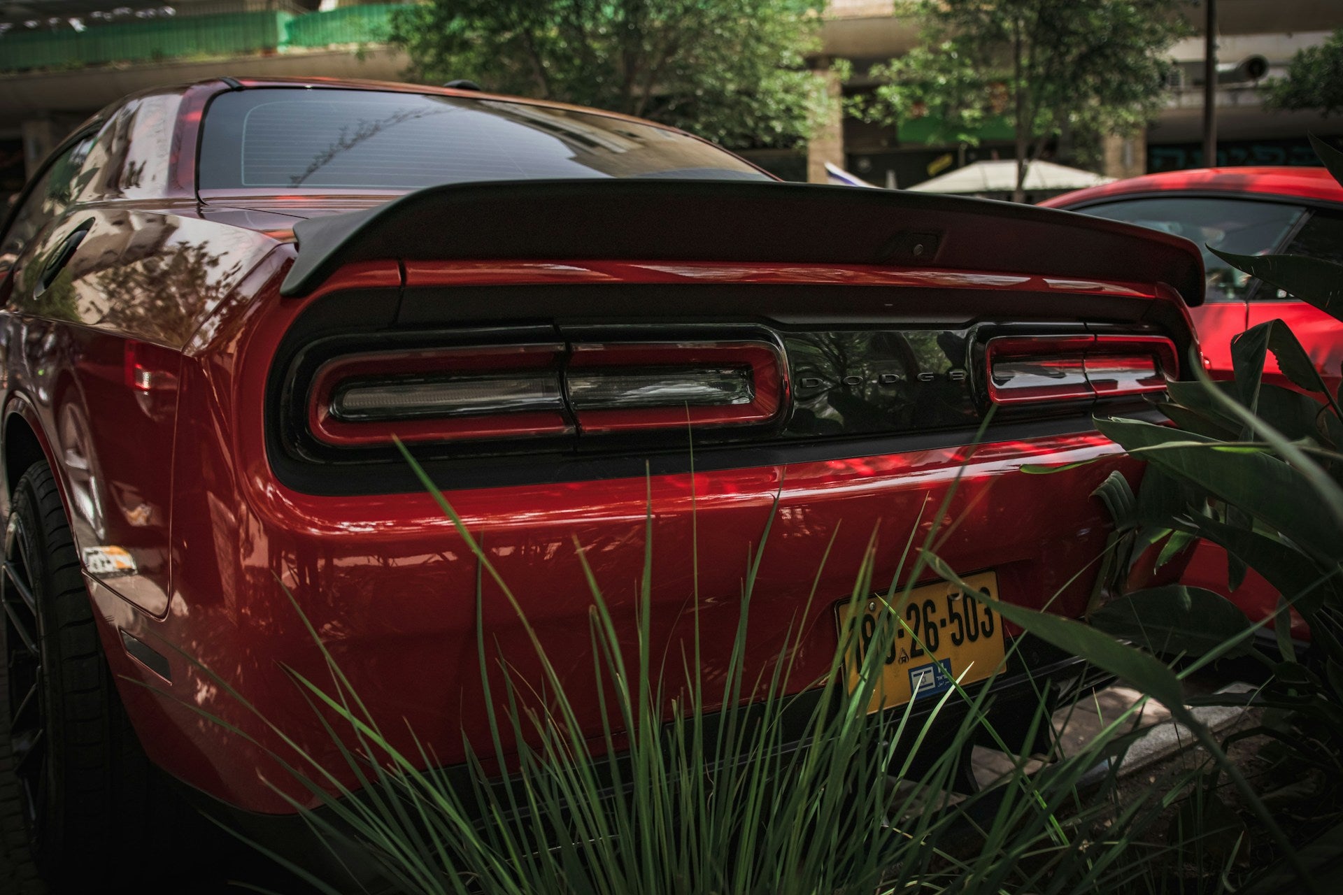 Dodge