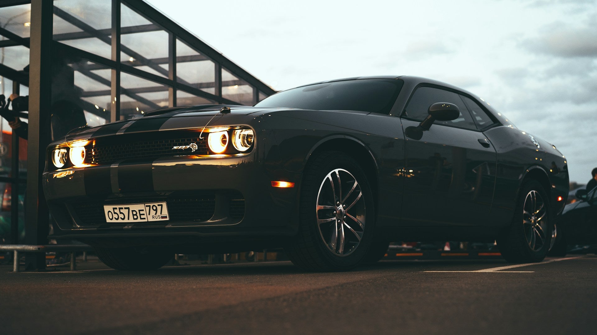 Dodge