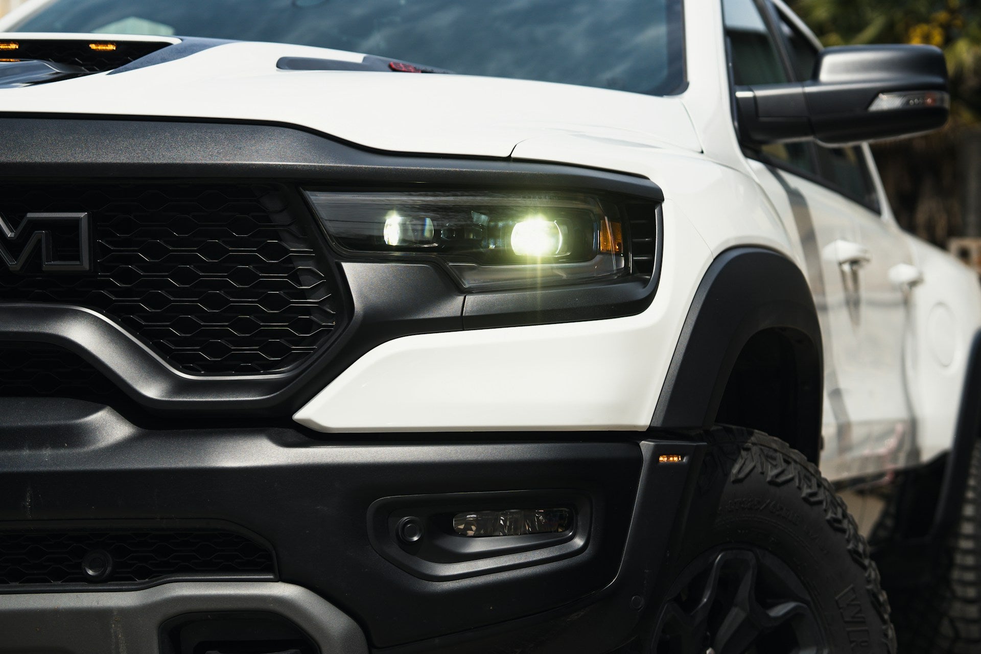 Ram