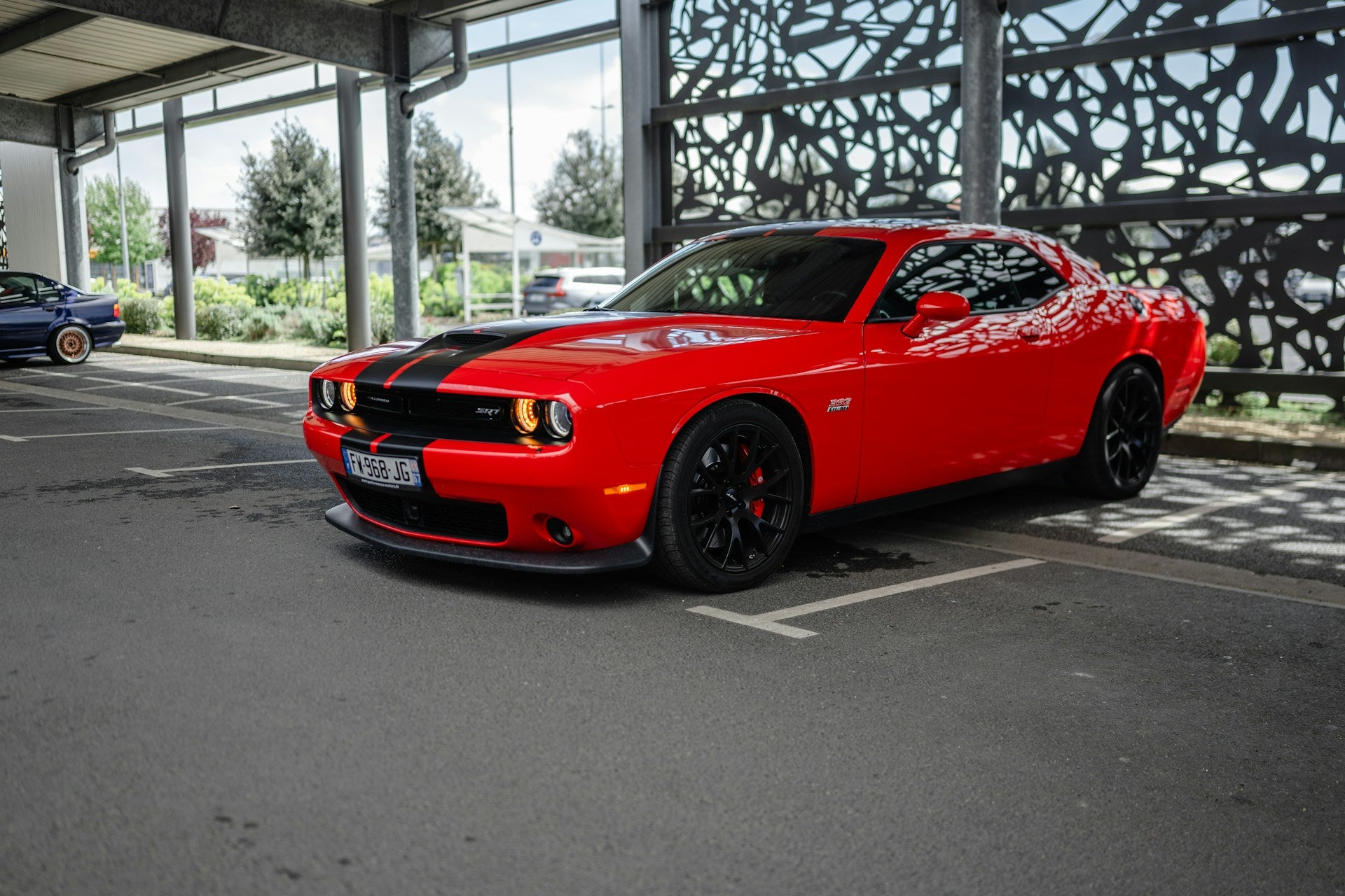 Dodge