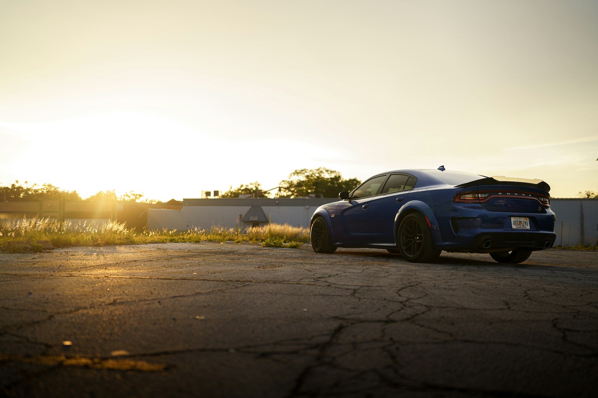 Dodge