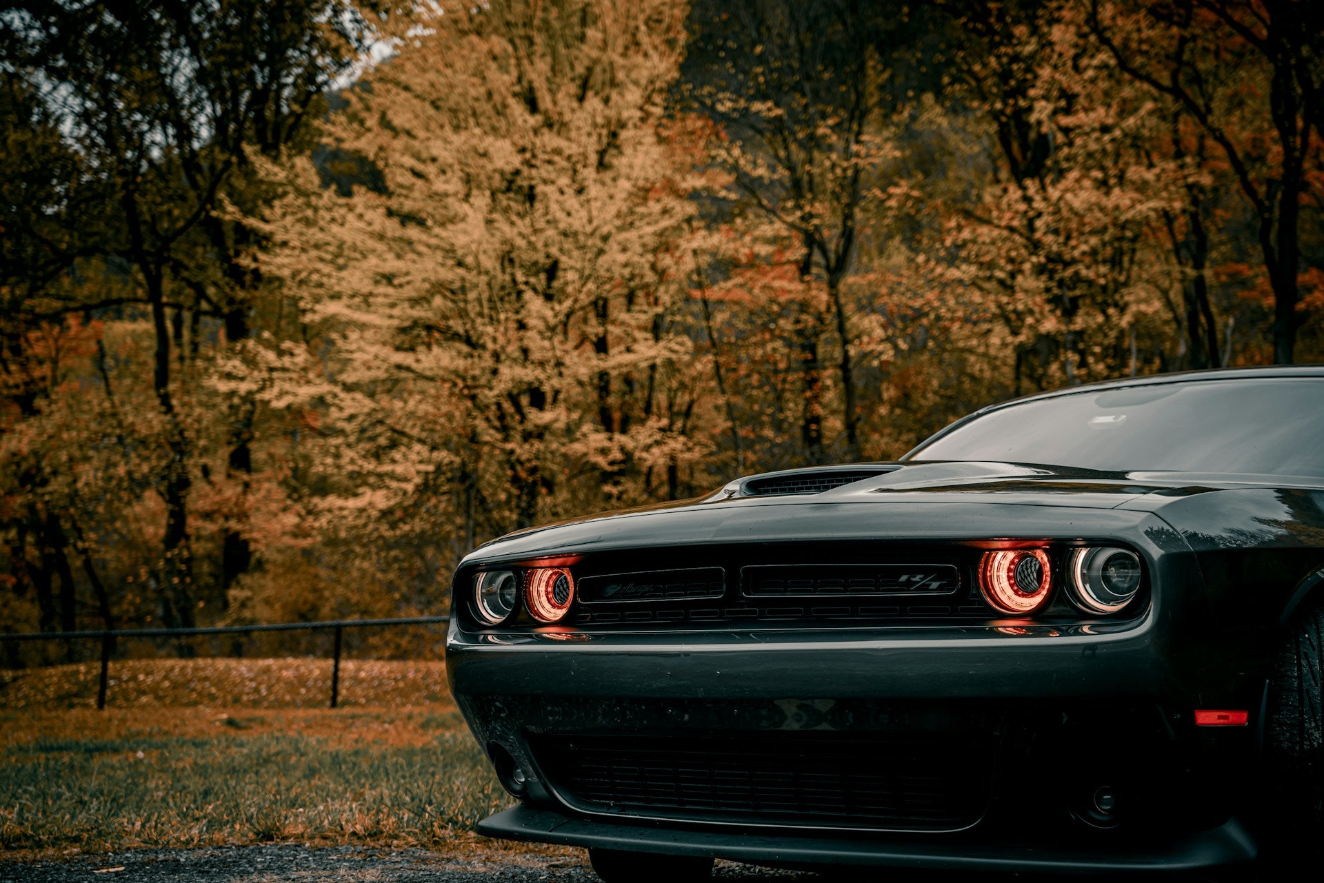 Dodge