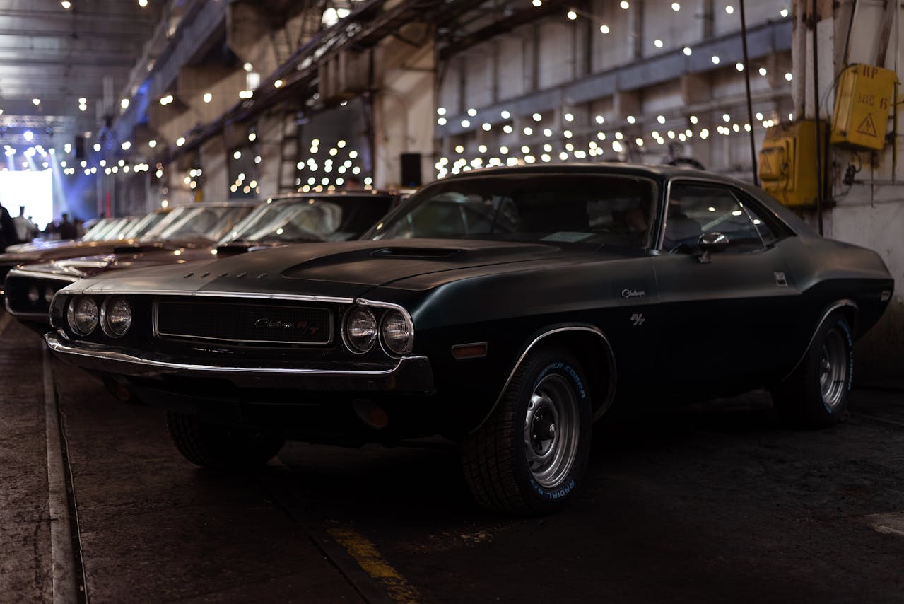 Dodge Muscle