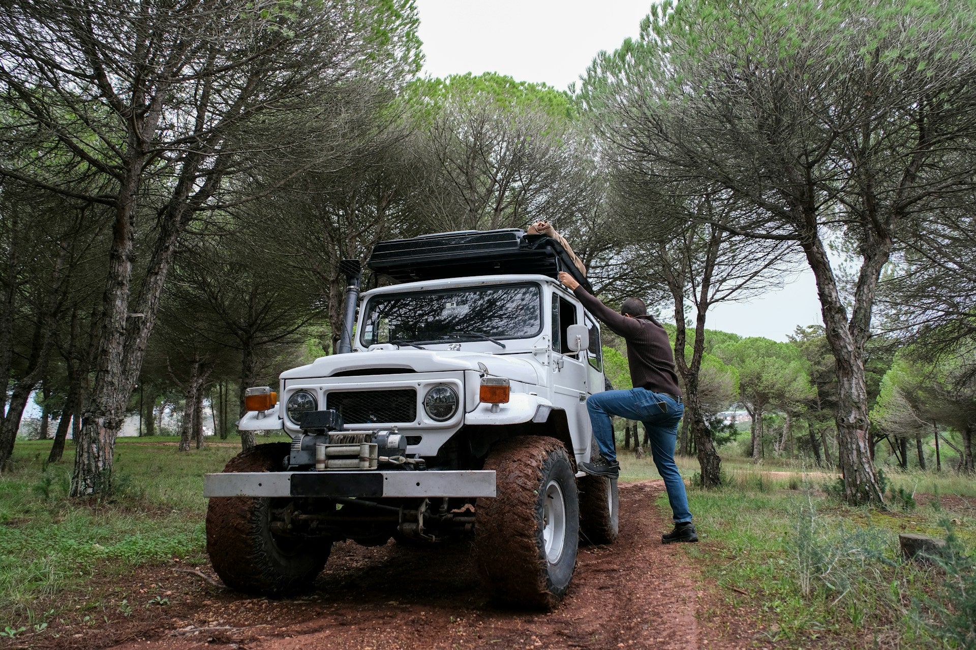 Jeep