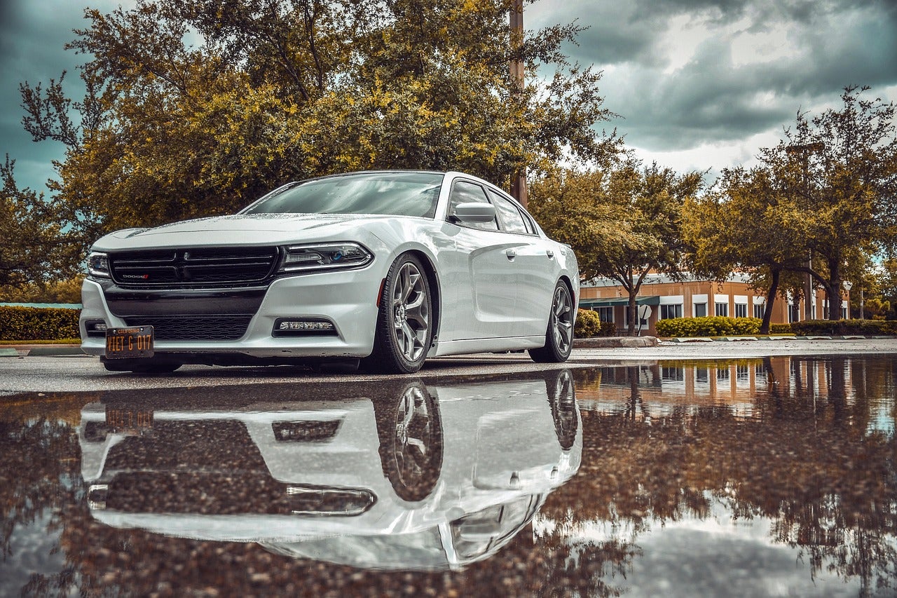 Dodge