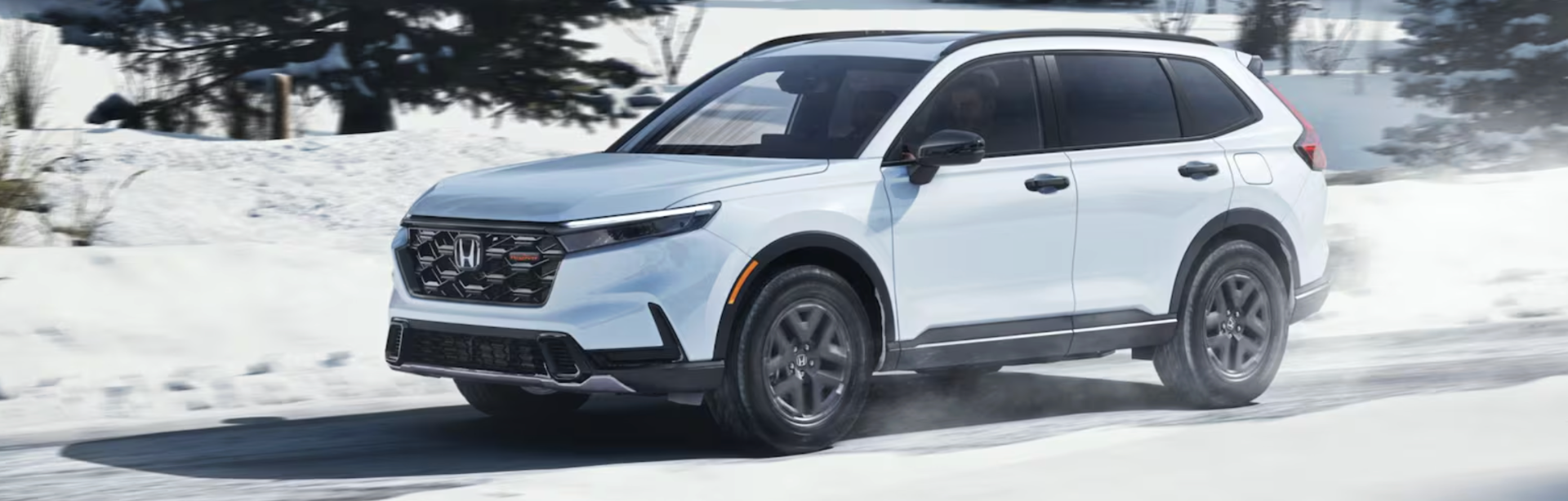 Fred Anderson Honda