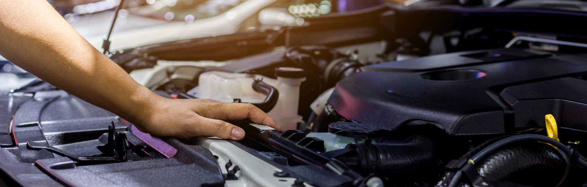 Fred Anderson Honda