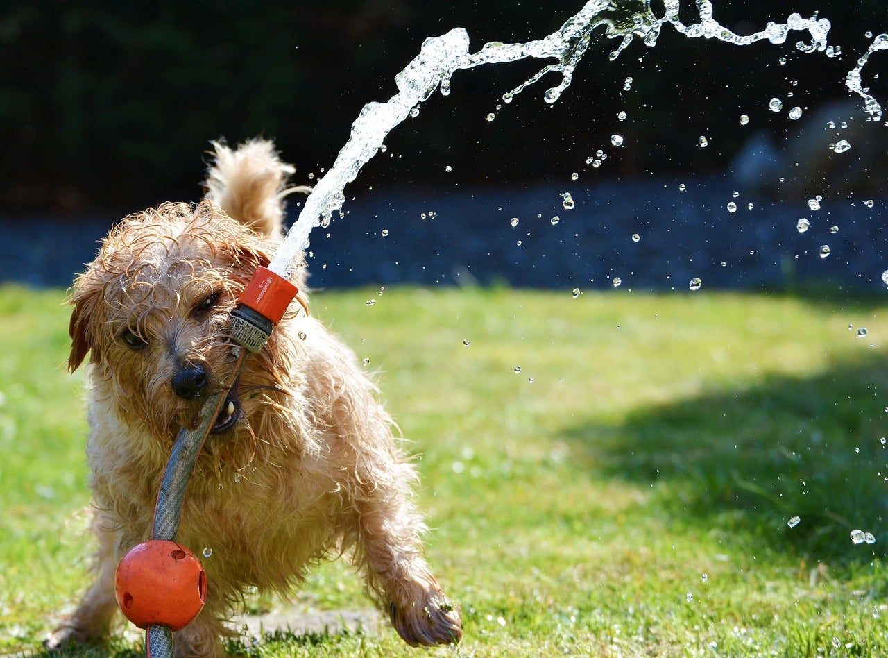 Summer activities