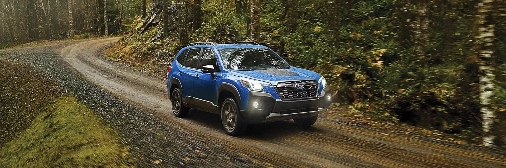 Forester Hybrid