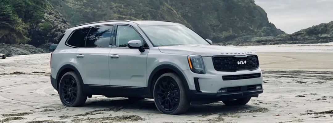 Wolf Grey Telluride