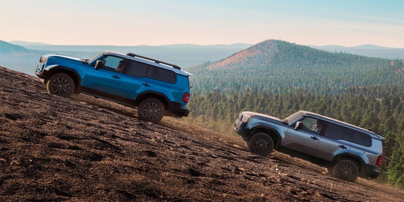 Two 2024 Toyota Land Cruisers cruising up mountain terrain.