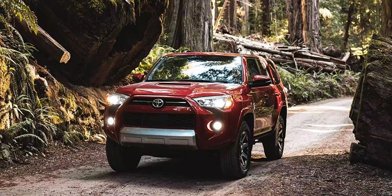 a brand new red 2023 Toyota 4Runner trekking through forest terrain. 