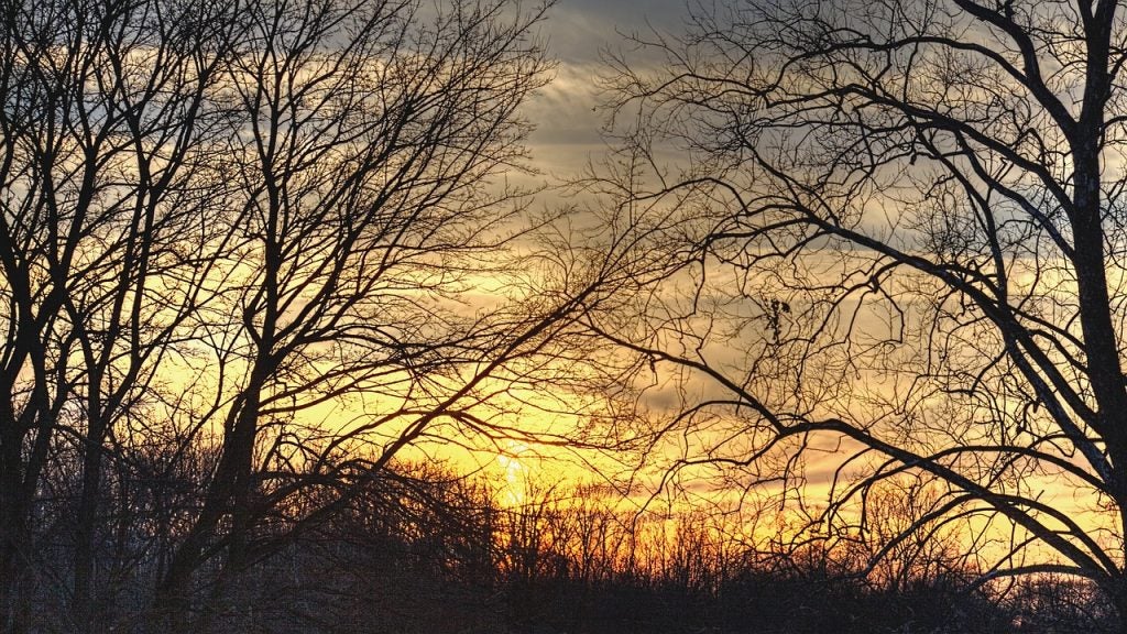 trees and sunset in Lancaster, OH