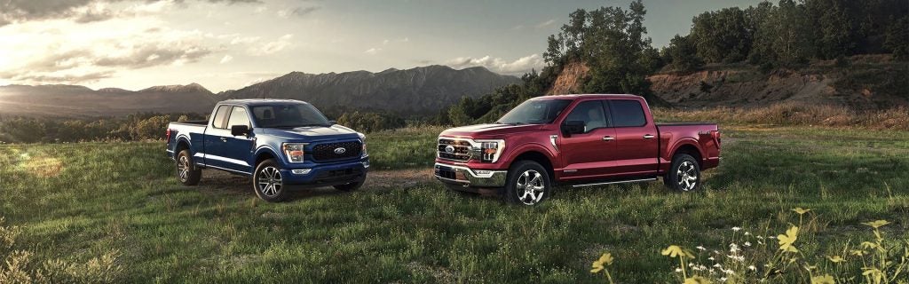 Two Ford F-150 trucks, one blue and one red, parked in a scenic field with mountains in the background.