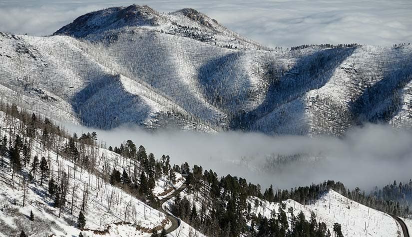 image of snowy mountain tops and pine trees 