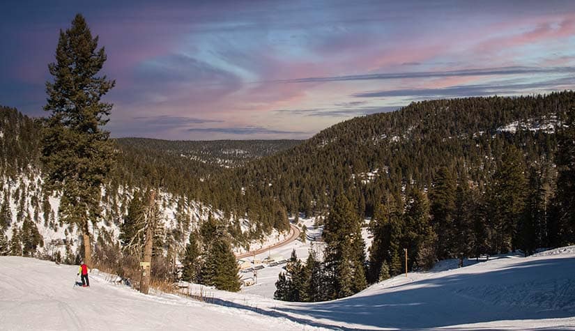 a forest with a very pretty pink blue sky in the background 