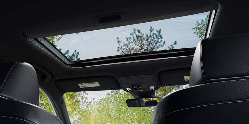 the 2025 Honda Civic Sedan vs. the 2025 Honda Accord in bishop california