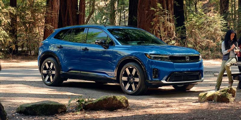 Blue Honda SUV parked in a redwood forest.