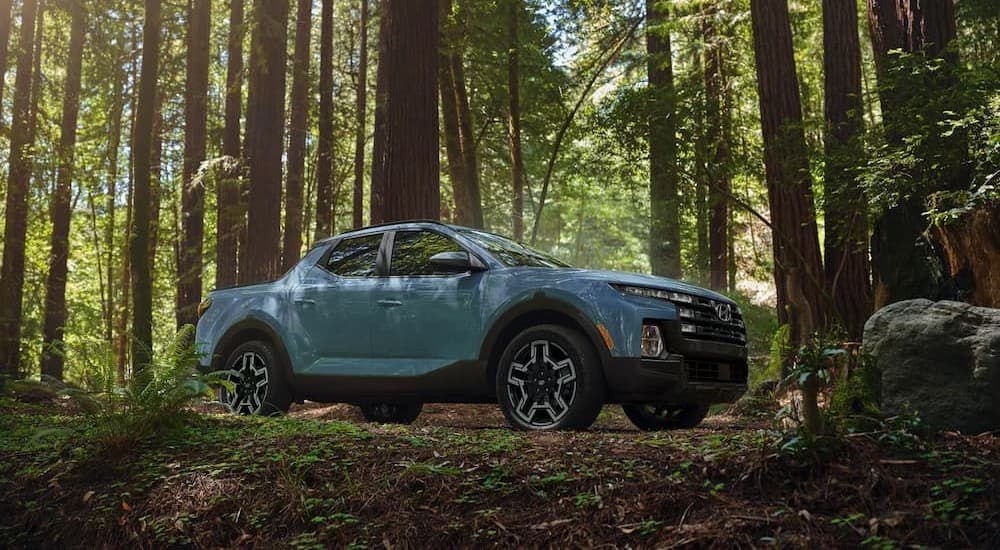 A blue 2026 Hyundai Santa Cruz parked in the forest.