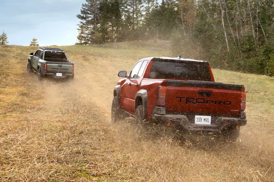 red and black Toyota Tacoma