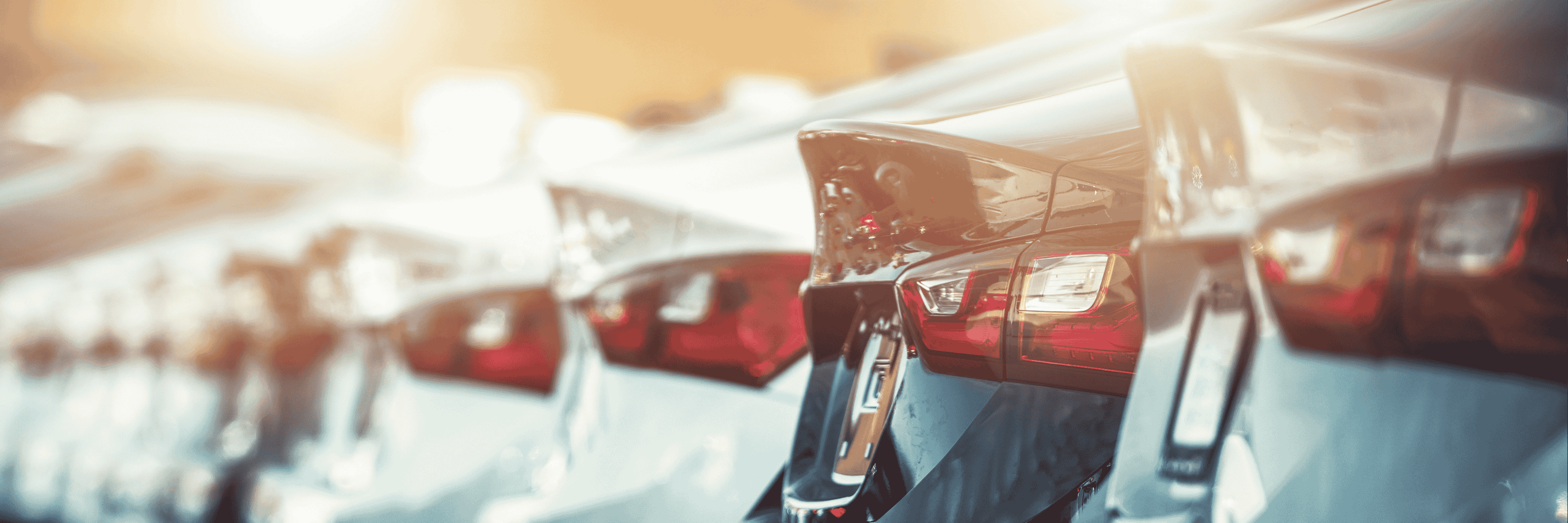 Toyotathon Alexandria Toyota featured image