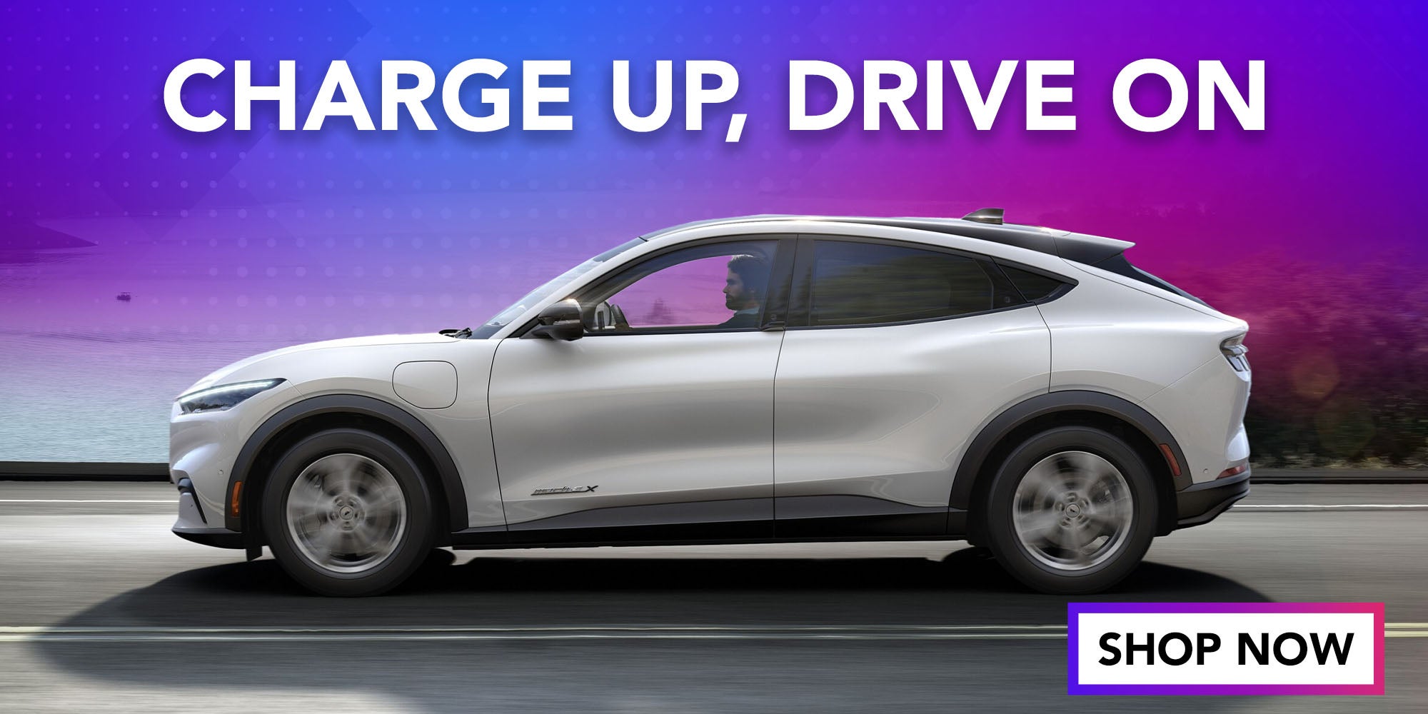 EV Charging Options
