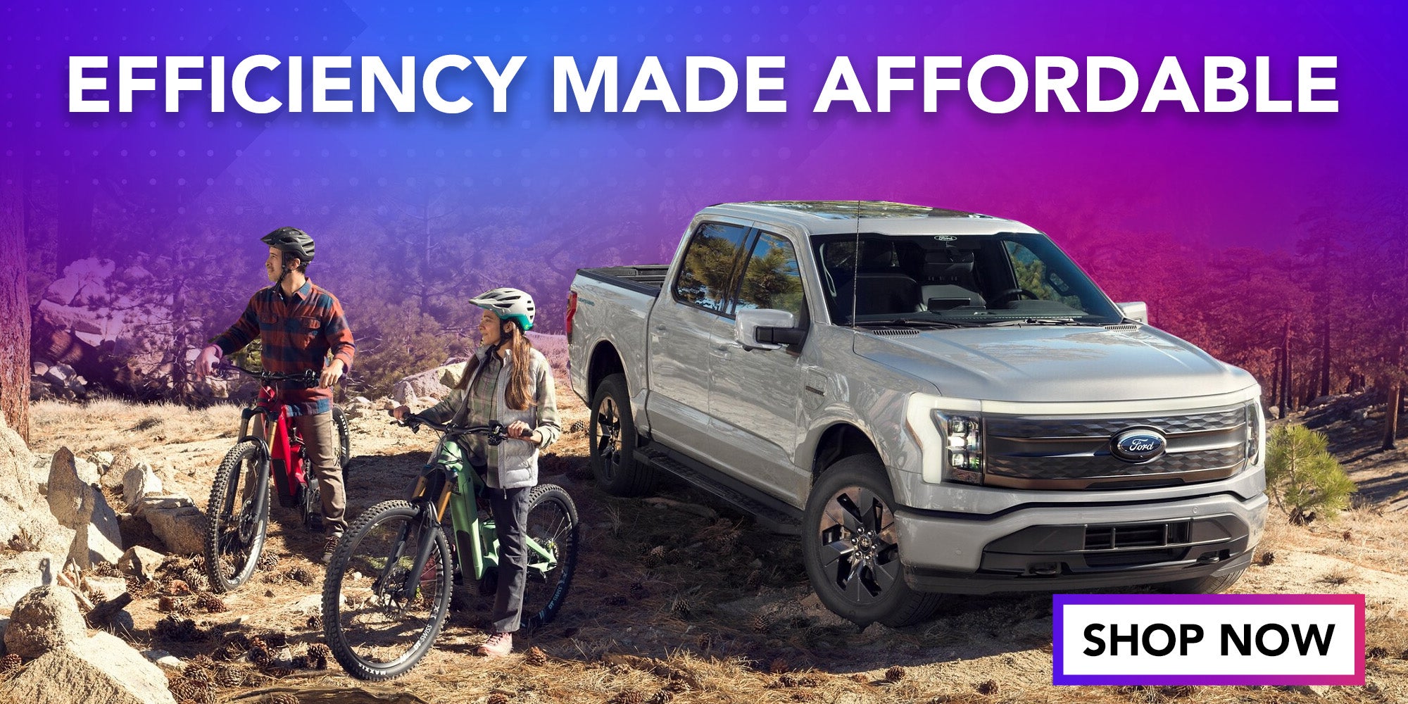 EV Affordability