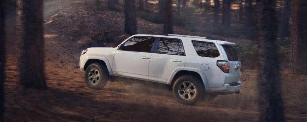 2024 Toyota 4Runner white in woods