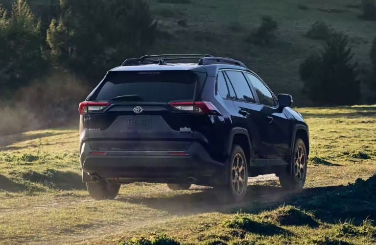 2023 Toyota RAV4 Rear View