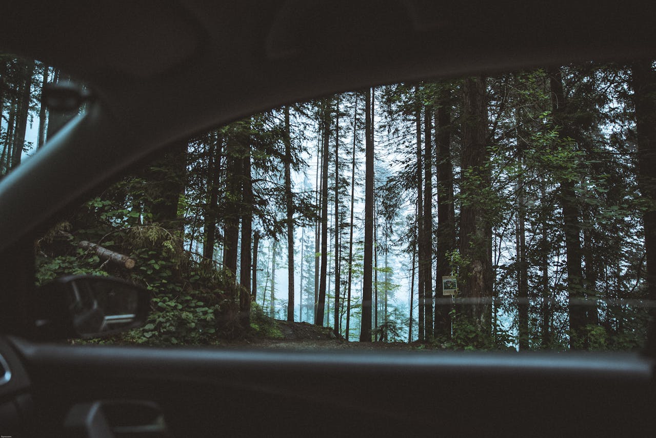 Road Trip