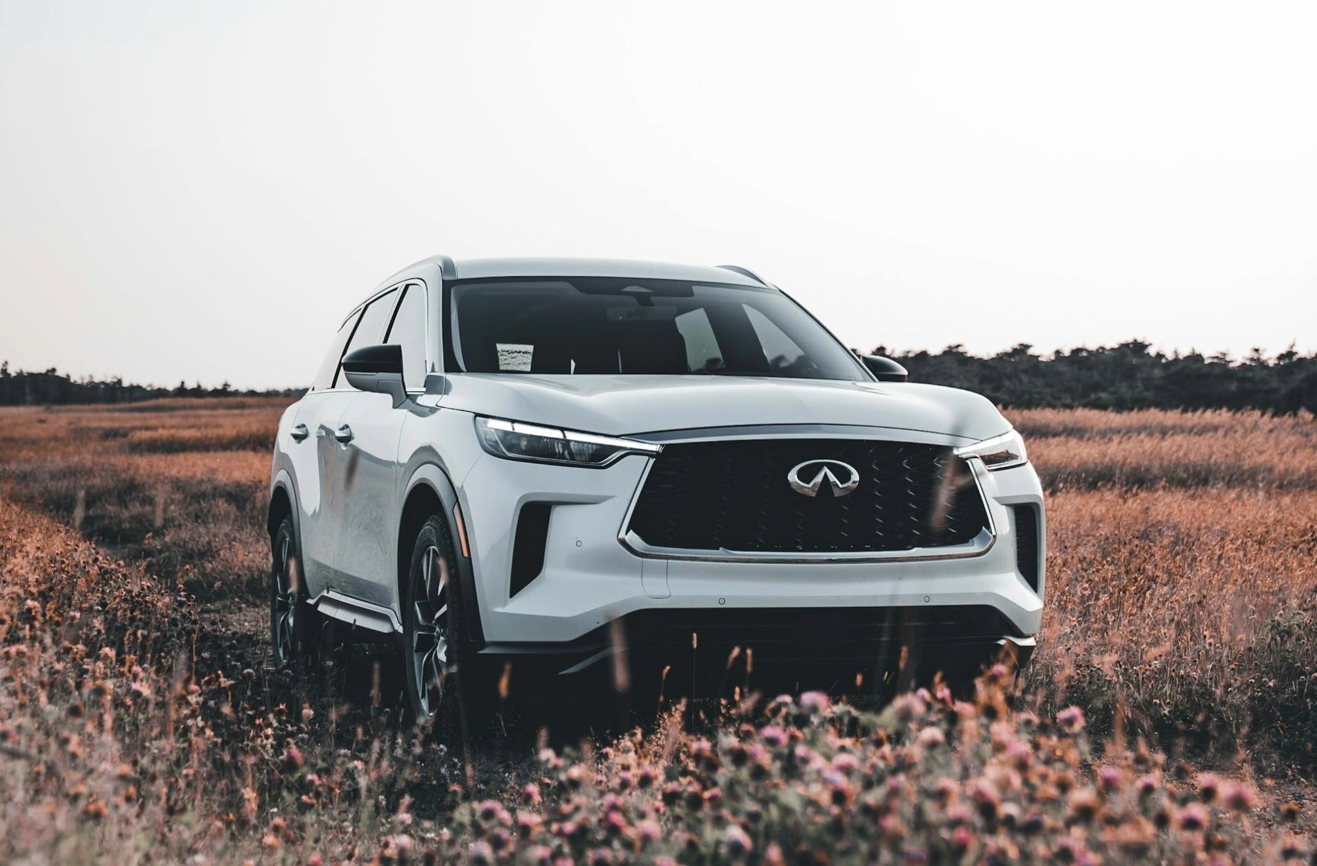 Infiniti