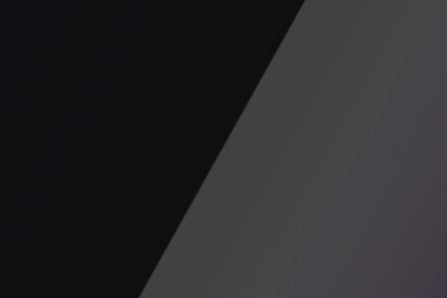 Labrador Black Pearl Paint Color