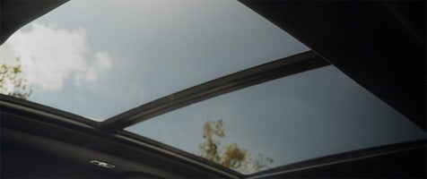 panoramic vista roof