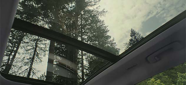 Panoramic View Monitor