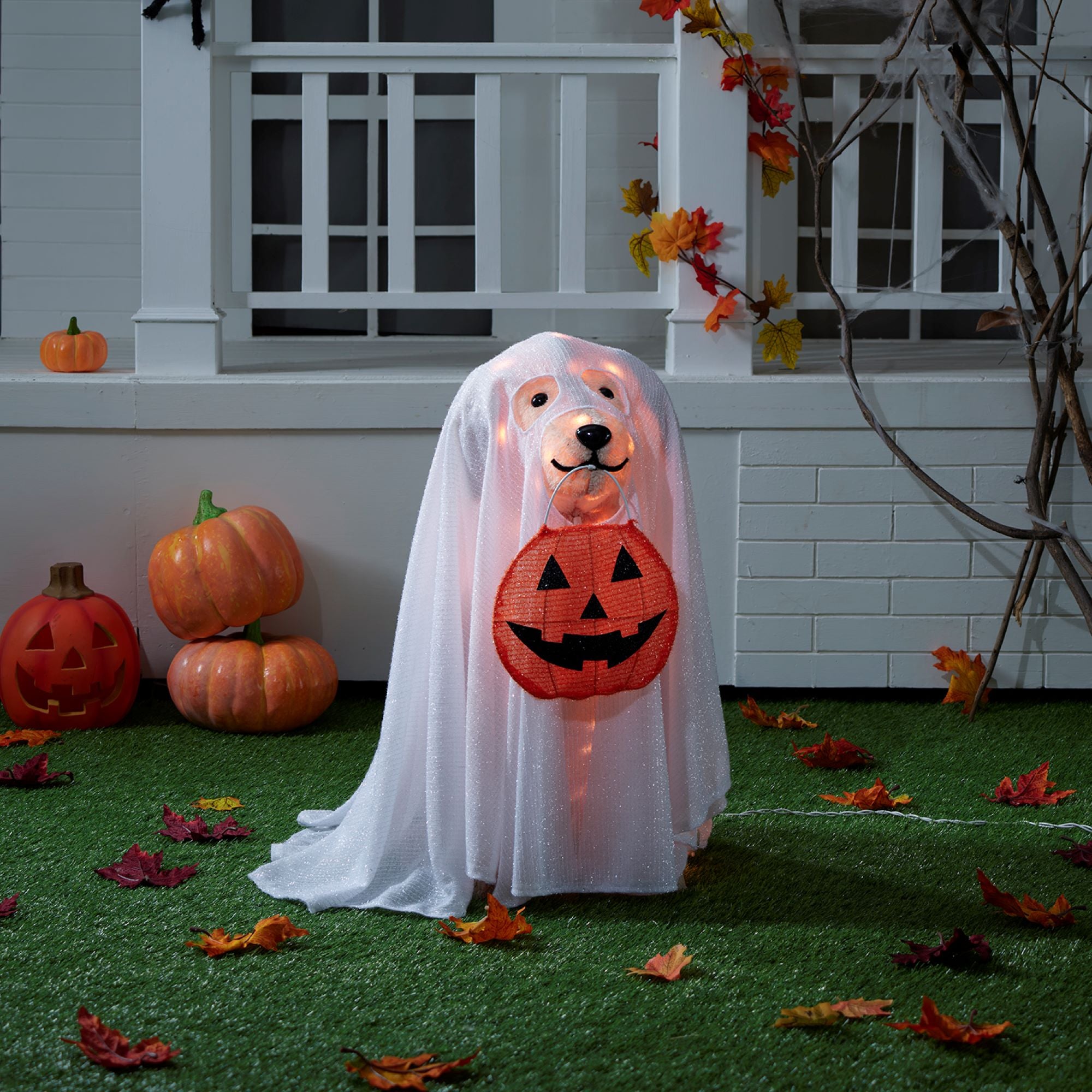 halloween lab with cape lawn decoration
