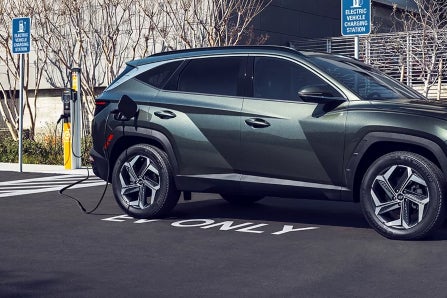 Hyundai Santa Fe PHEV Charging at Public Charger