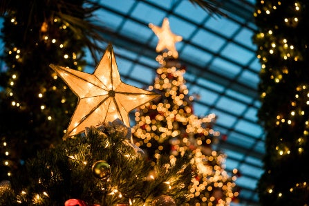 Lit Up Christmas Tree with Star Topper