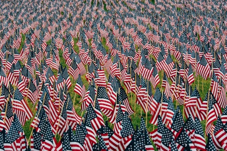 Small American flags in grass