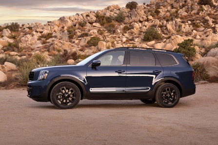 Driver side profile of 2023 Kia Telluride in desert