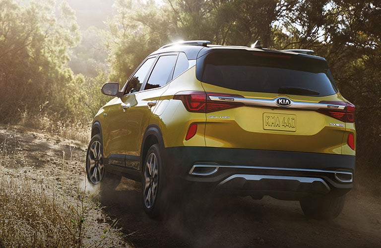 2020 Kia Seltos back view